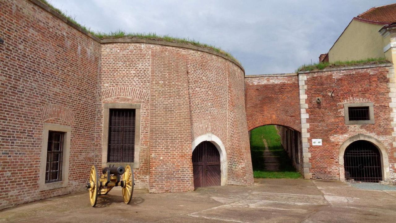 Penzion U Pesiku Červený Kostelec Extérieur photo